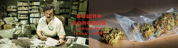 бошки Аркадак
