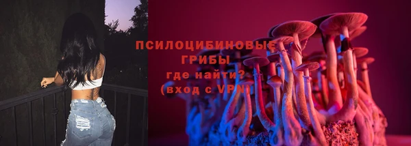 2c-b Арсеньев