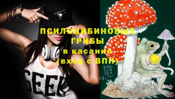 альфа пвп Армянск