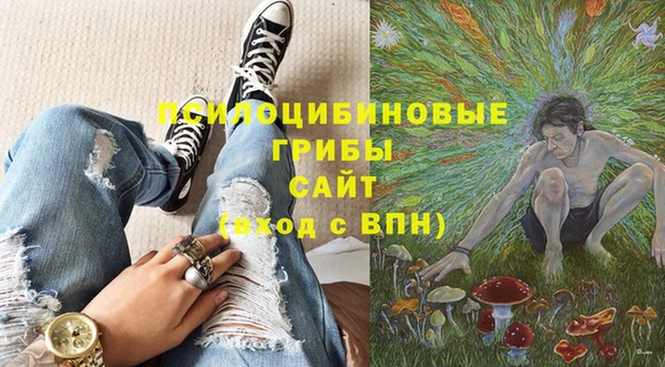 альфа пвп Армянск