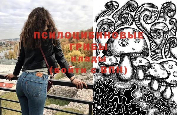 альфа пвп Армянск
