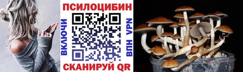 kraken ССЫЛКА  Бирюч  Псилоцибиновые грибы мухоморы  где найти наркотики 